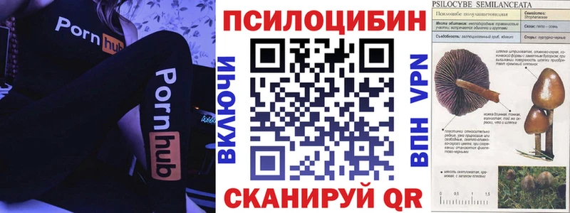 Галлюциногенные грибы ЛСД  Крым 